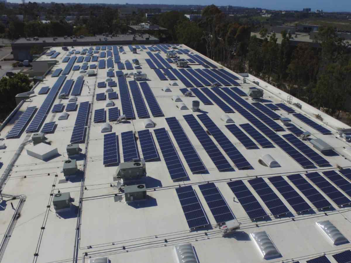 The Jacobs & Cushman San Diego Food Bank commercial solar project